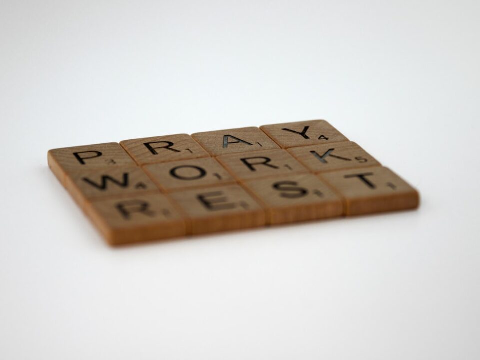 Photo WordPress REST API